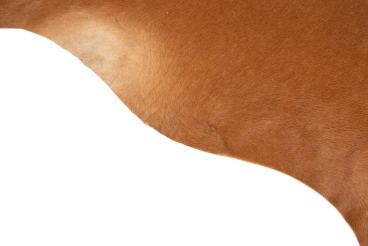 Detail image of 6' 1 x 6' 5 Cowhide Leather Square Rug