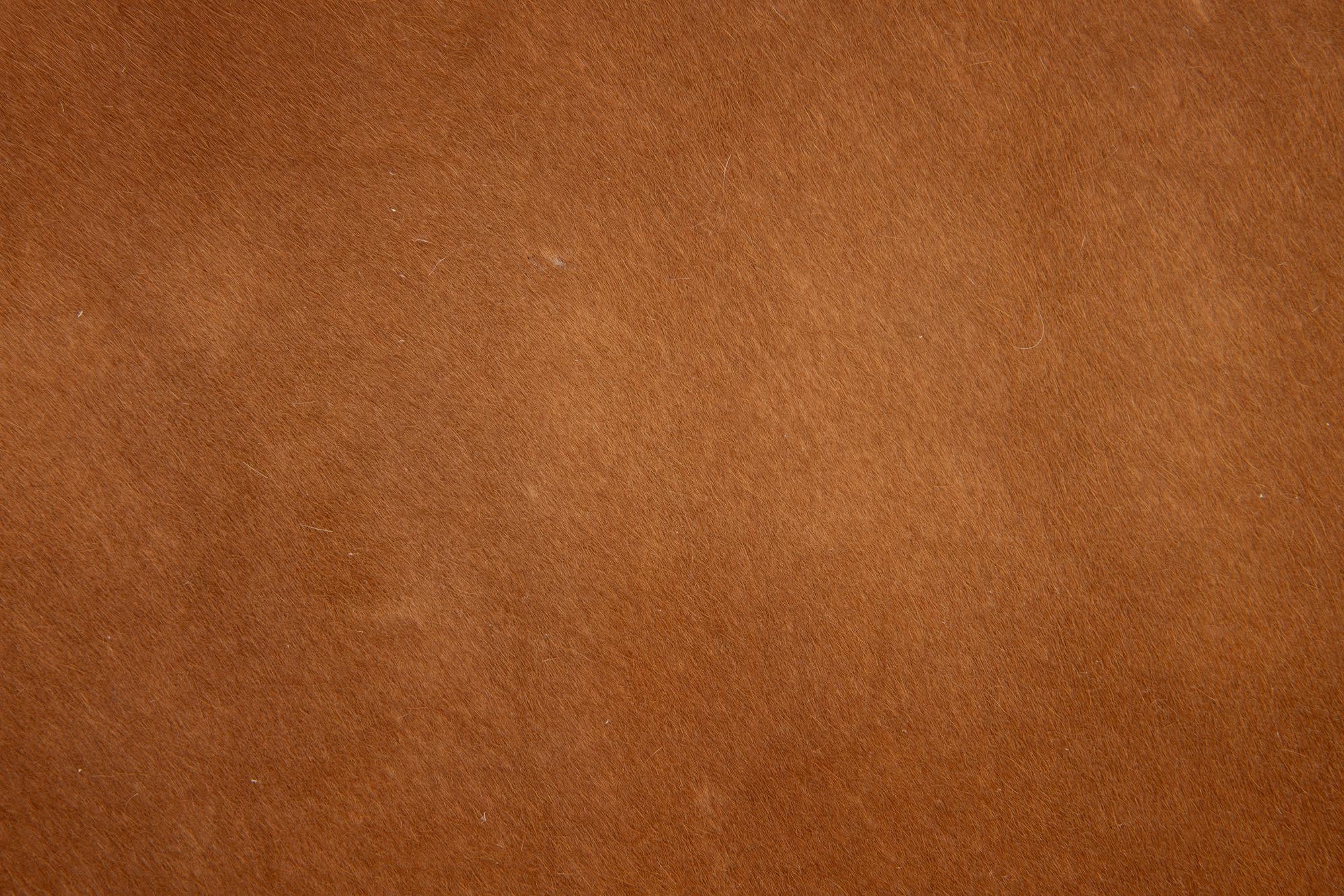 6' 1 x 6' 5 Cowhide Leather Square Rug