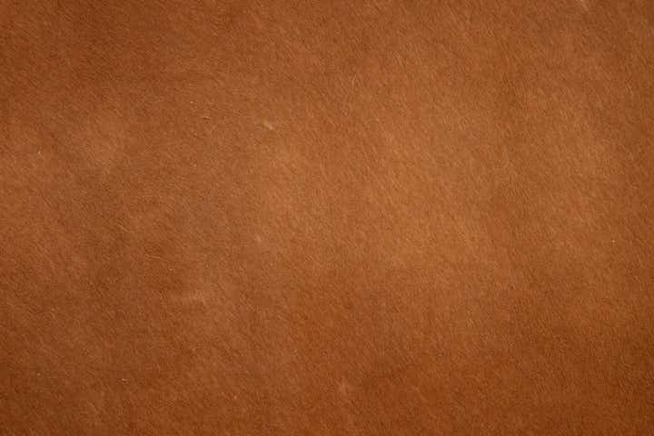 6' 1 x 6' 5 Cowhide Leather Square Rug