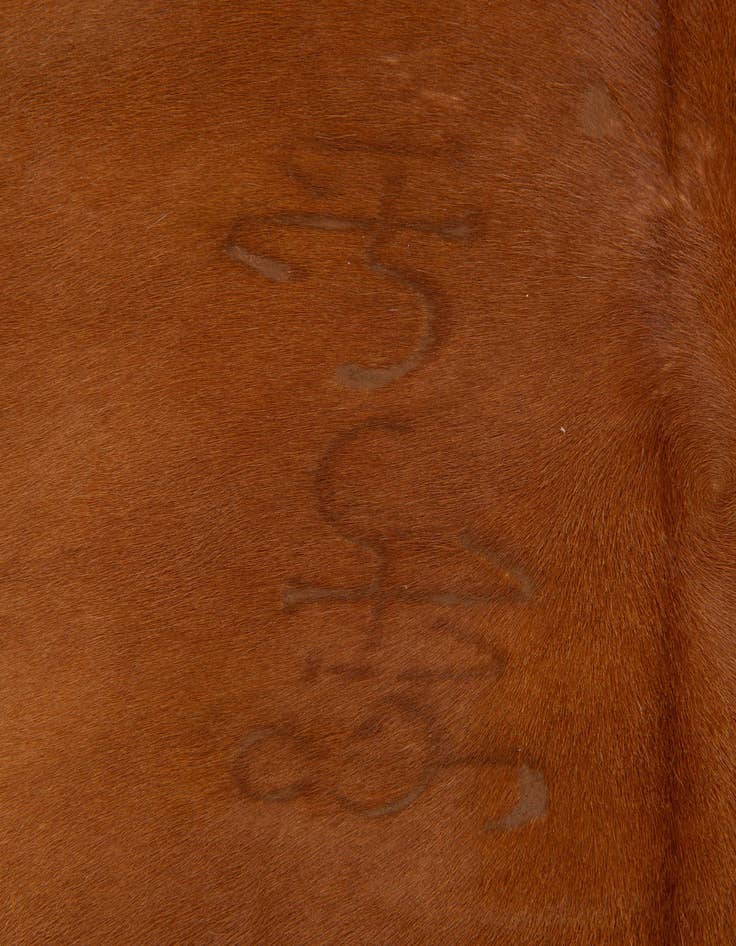 Detail image of 4' 10 x 5' 2 Cowhide Leather Square Rug