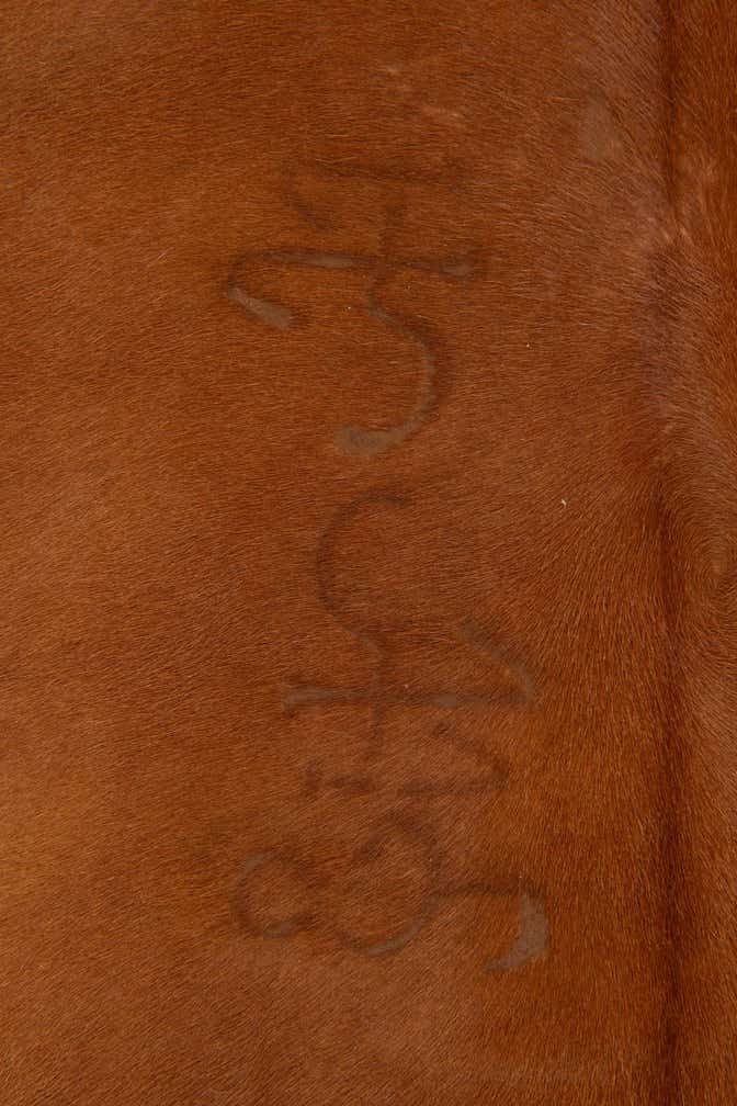 4' 10 x 5' 2 Cowhide Leather Square Rug