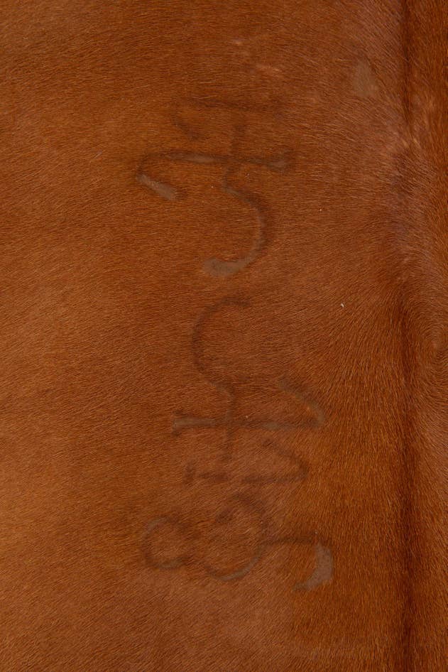 Detail image of 4' 10 x 5' 2 Cowhide Leather Square Rug