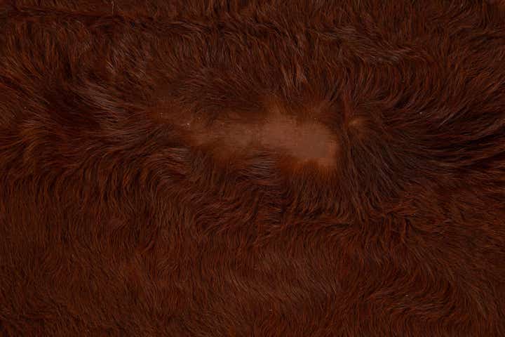 5' 4 x 5' 4 Cowhide Leather Square Rug