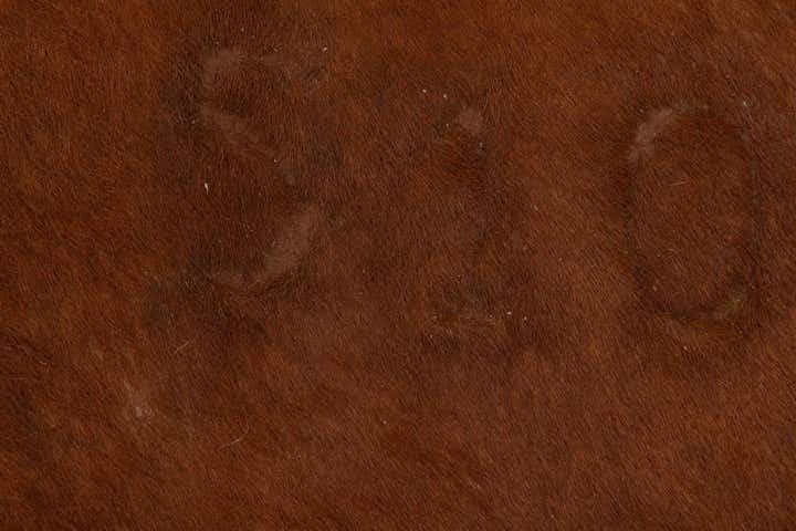 6' 6 x 6' 11 Cowhide Leather Square Rug