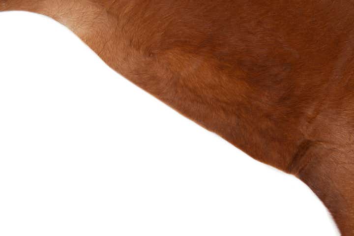 6' 7 x 6' 10 Cowhide Leather Square Rug