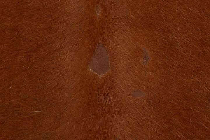 6' 7 x 6' 10 Cowhide Leather Square Rug