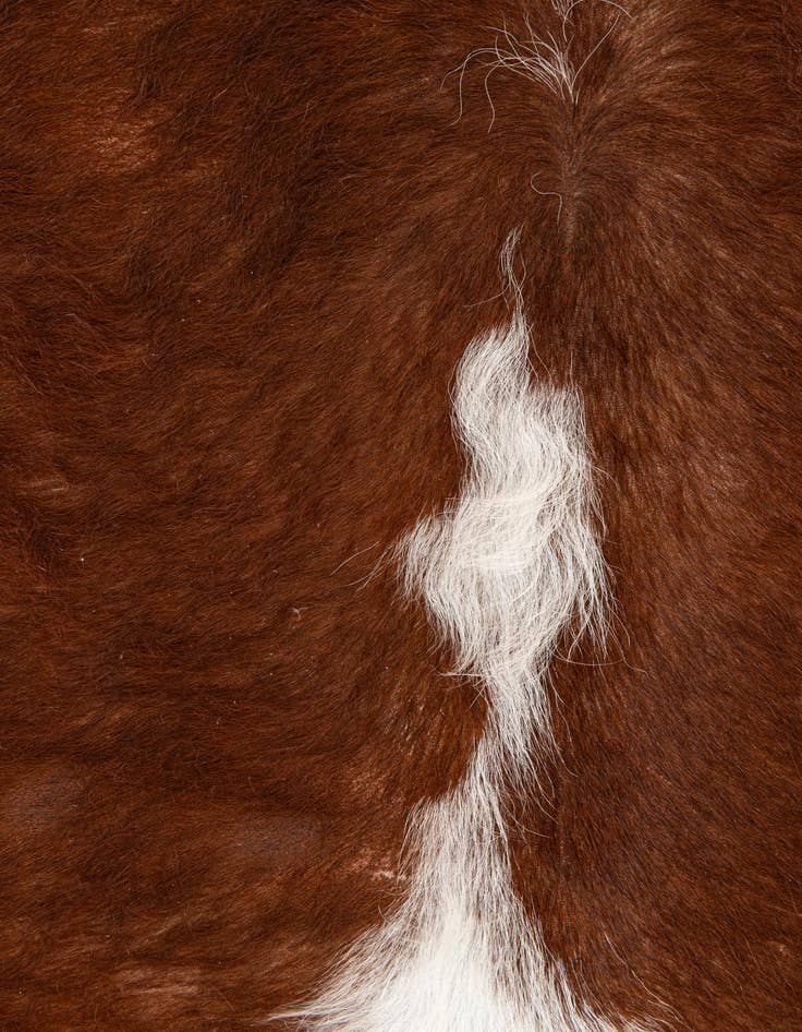 Detail image of 7' x 7' 1 Cowhide Leather Square Rug