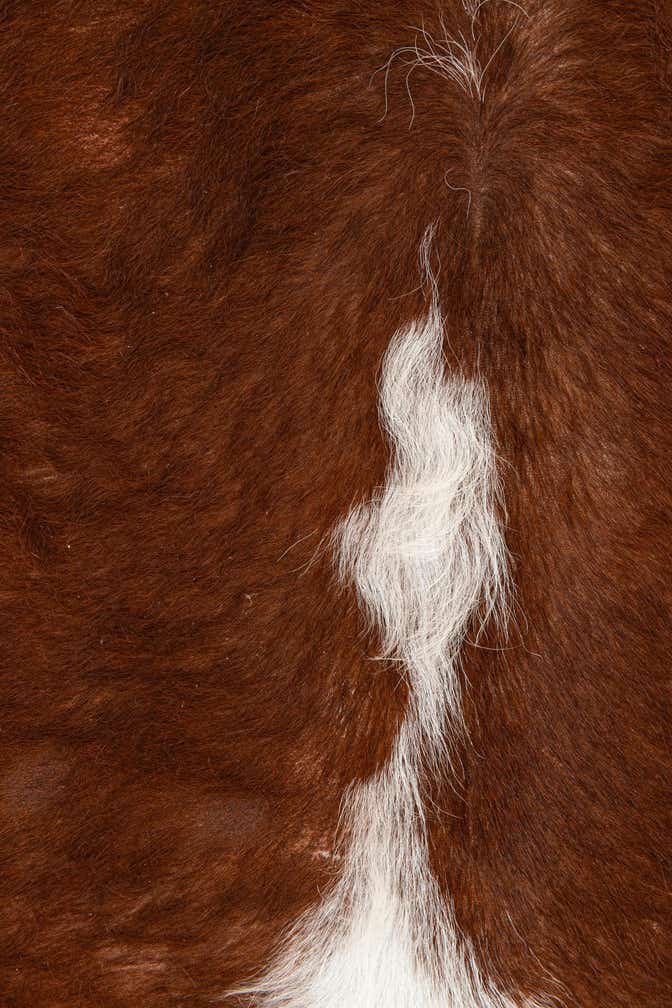 7' x 7' 1 Cowhide Leather Square Rug