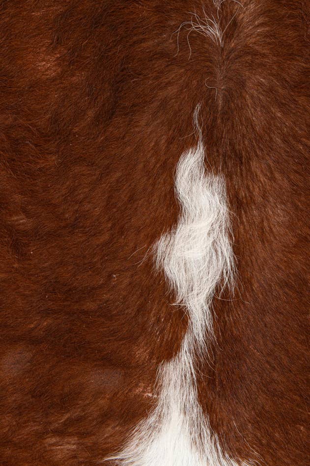 Detail image of 7' x 7' 1 Cowhide Leather Square Rug