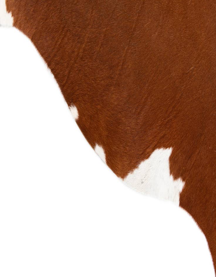 Detail image of 4' 9 x 5' Cowhide Leather Square Rug