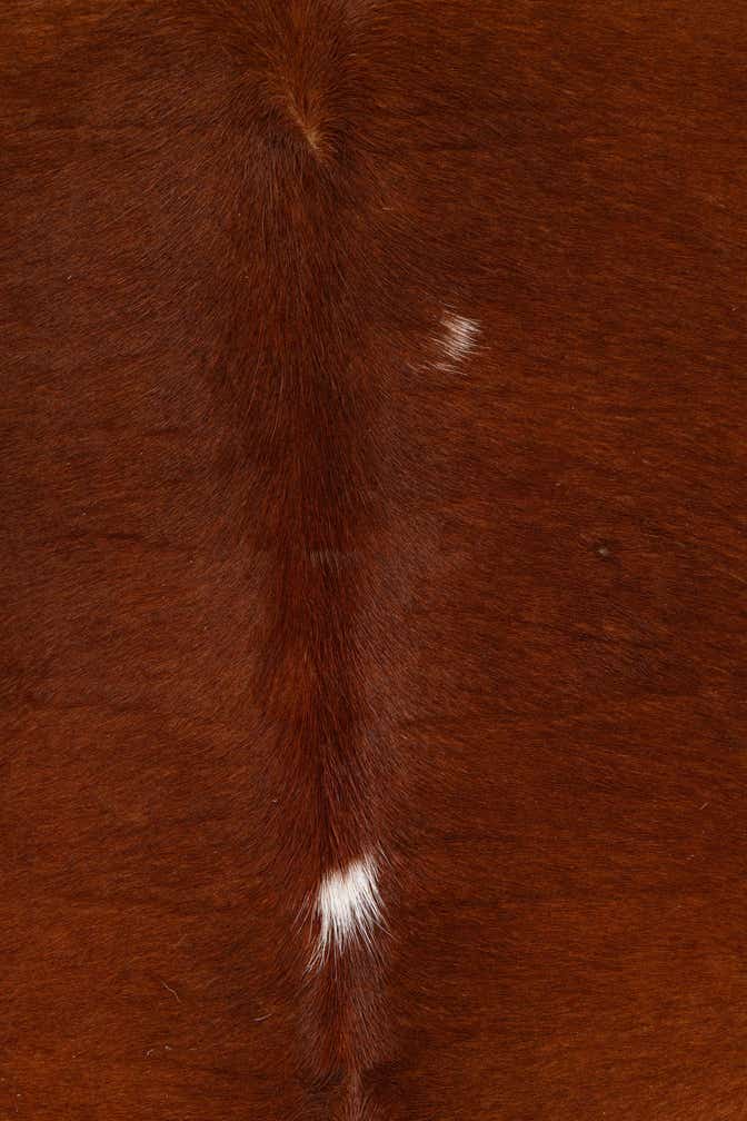 4' 9 x 5' Cowhide Leather Square Rug