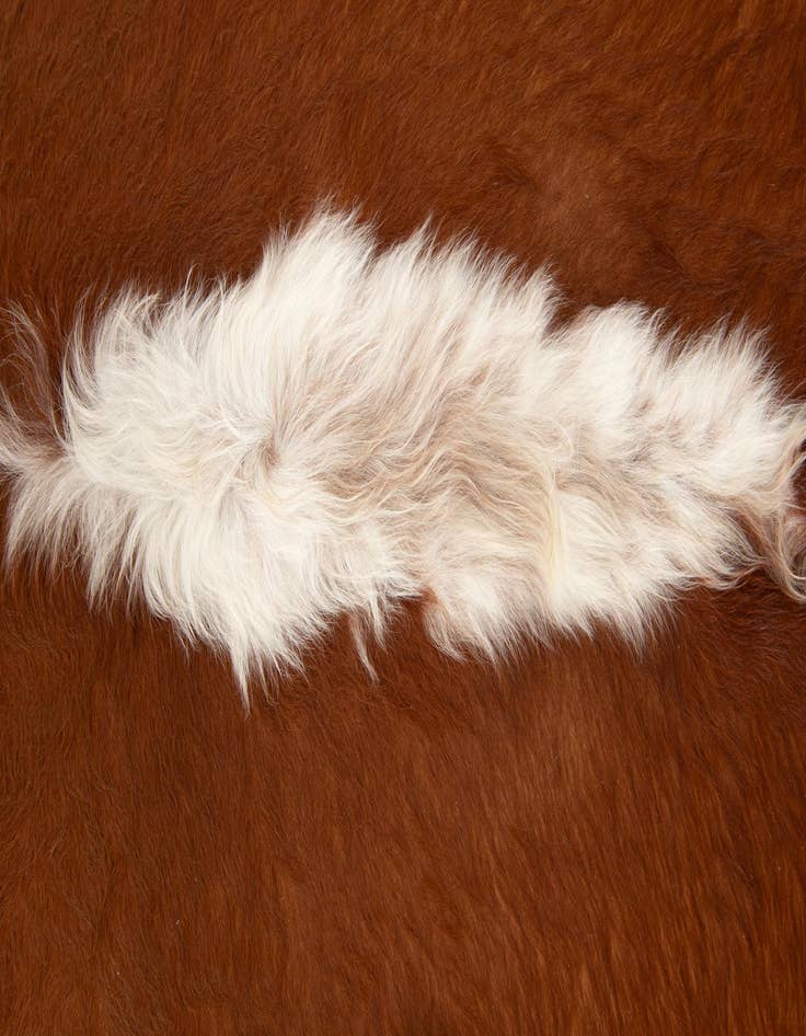 Detail image of 6' 2 x 6' 11 Cowhide Leather Square Rug