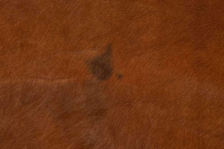 5' 9 x 6' 1 Cowhide Leather Square Rug