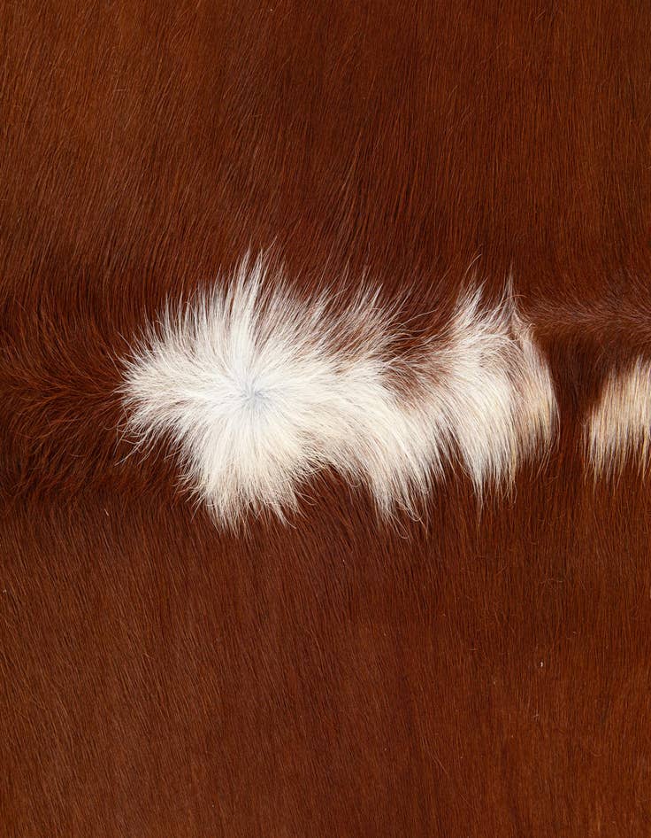 Detail image of 6' x 6' 2 Cowhide Leather Square Rug