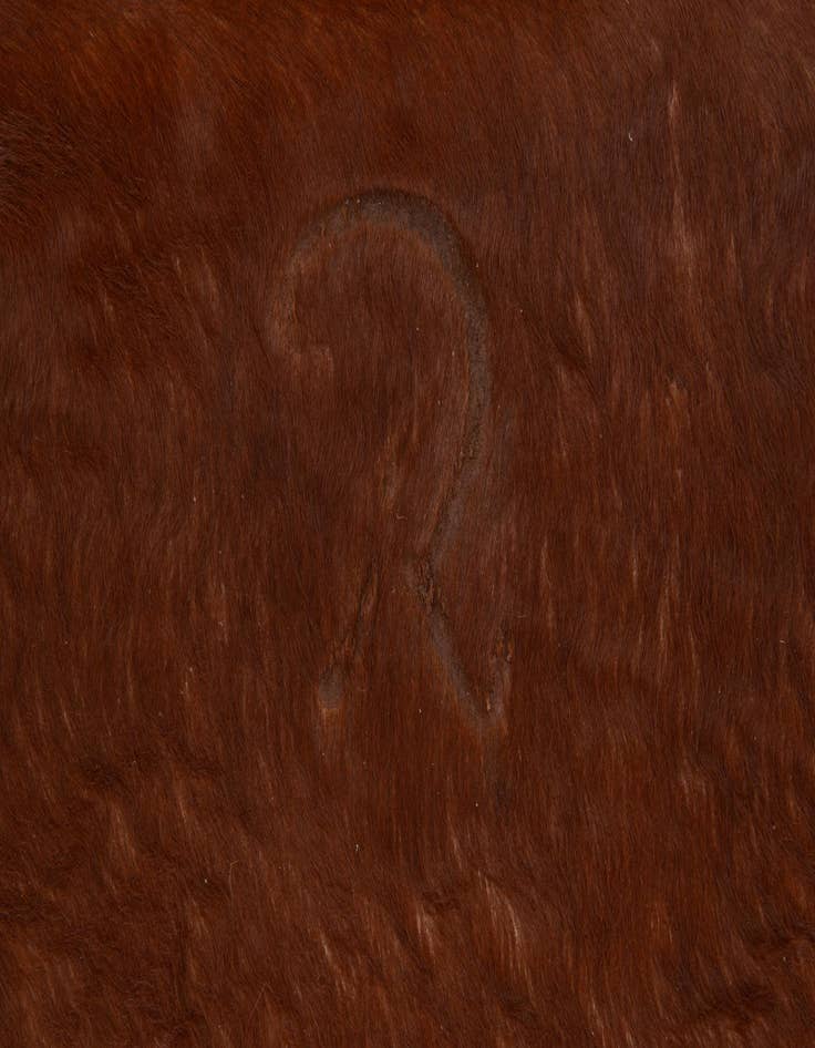 Detail image of 6' 6 x 6' 7 Cowhide Leather Square Rug