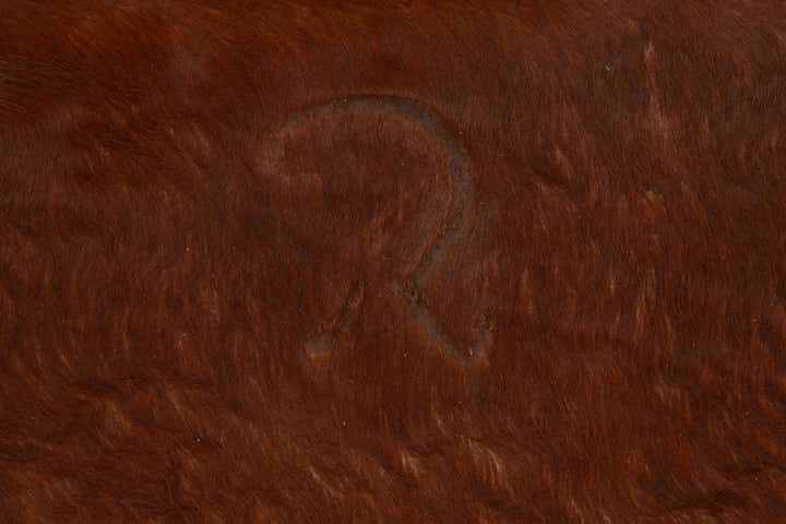 6' 6 x 6' 7 Cowhide Leather Square Rug