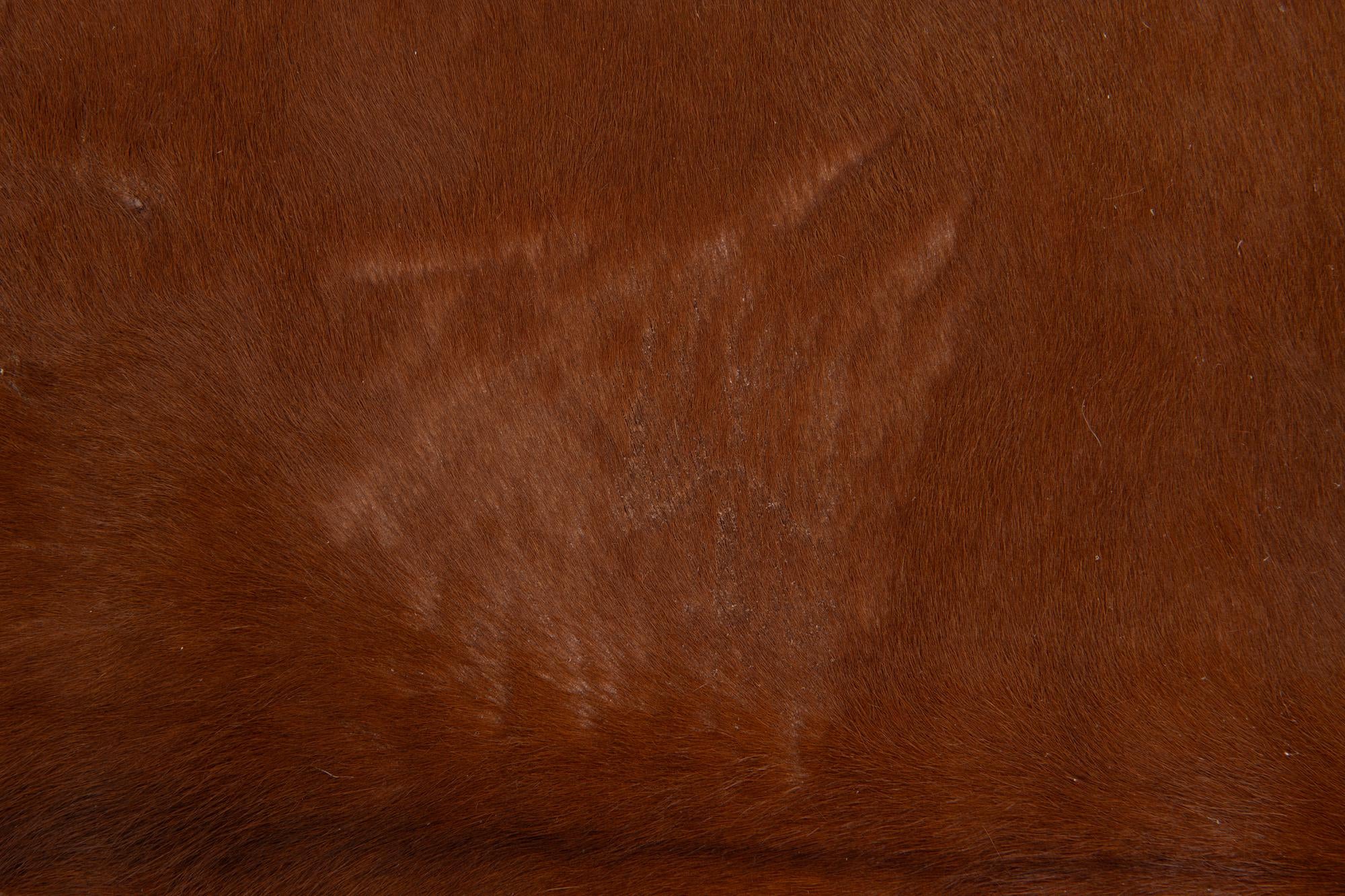 5' 1 x 5' 4 Cowhide Leather Square Rug