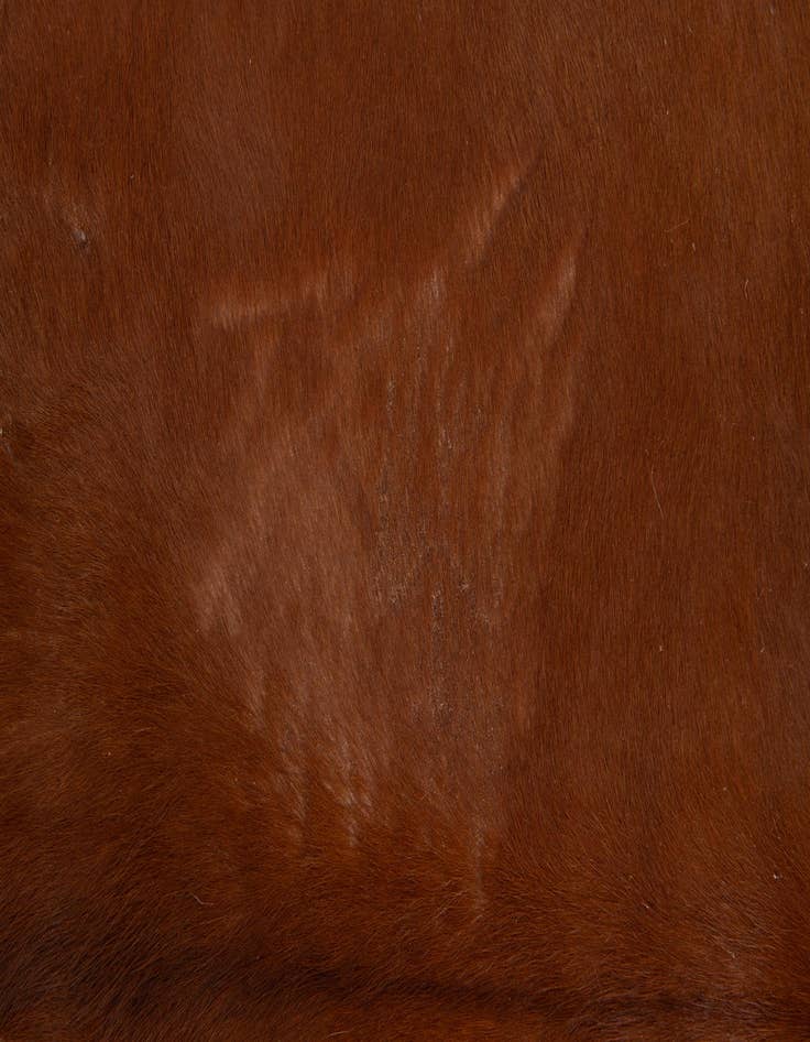 Detail image of 5' 1 x 5' 4 Cowhide Leather Square Rug