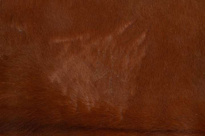 5' 1 x 5' 4 Cowhide Leather Square Rug