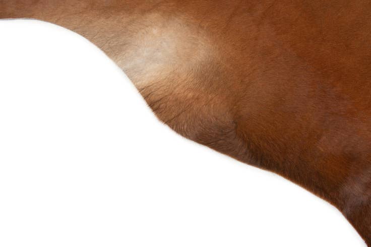Detail image of 6' 4 x 6' 11 Cowhide Leather Square Rug