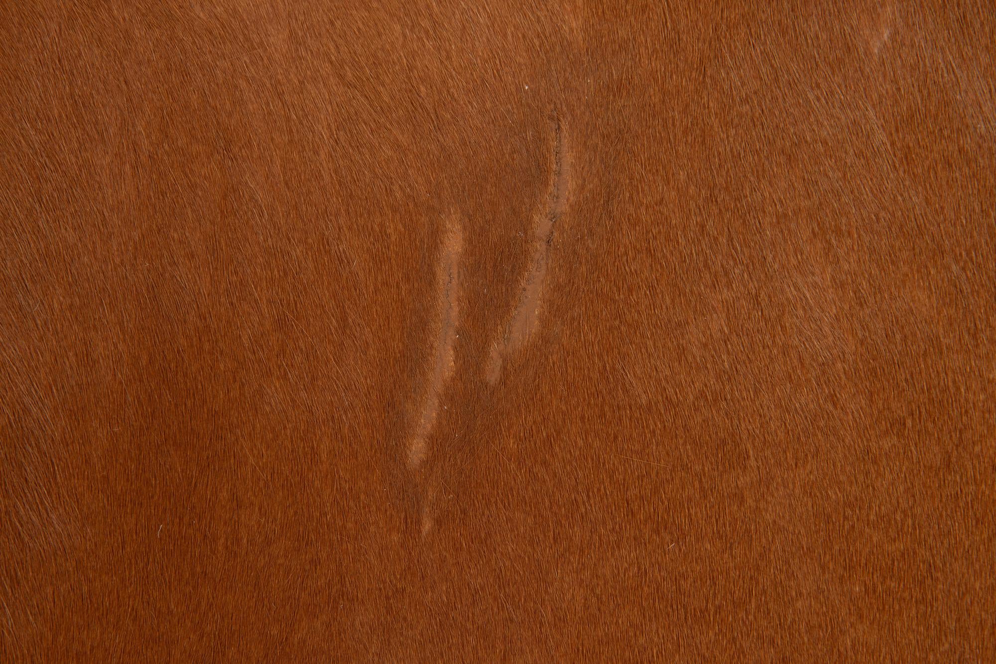 4' 11 x 4' 11 Cowhide Leather Square Rug