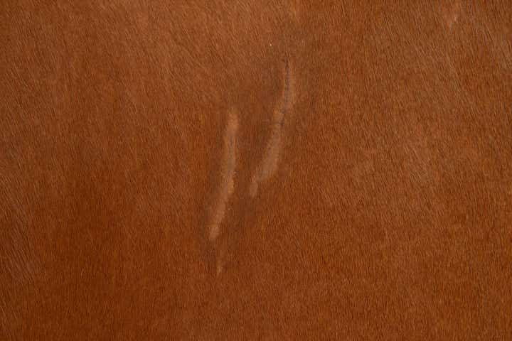 4' 11 x 4' 11 Cowhide Leather Square Rug