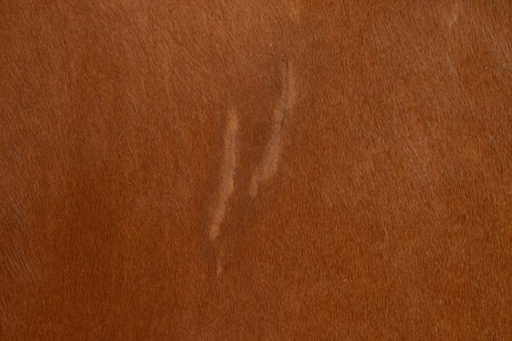 Detail image of 4' 11 x 4' 11 Cowhide Leather Square Rug