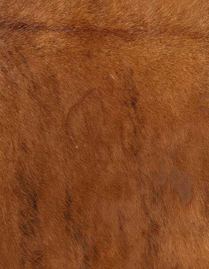 Detail image of 5' 10 x 6' 1 Cowhide Leather Square Rug