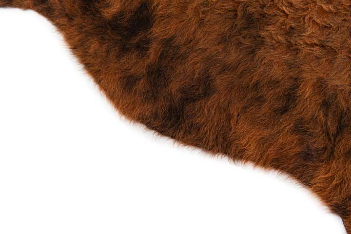 5' x 5' 6 Cowhide Leather Square Rug