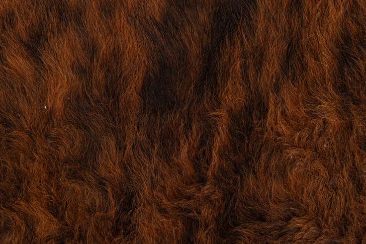 Detail image of 5' x 5' 6 Cowhide Leather Square Rug