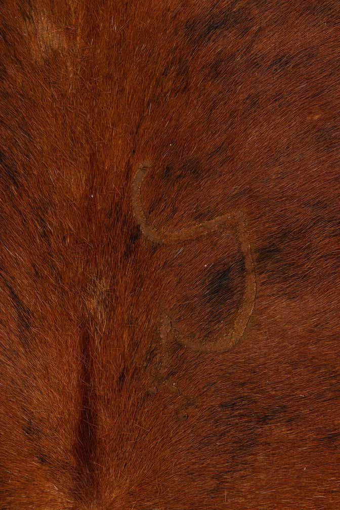 5' 4 x 5' 7 Cowhide Leather Square Rug