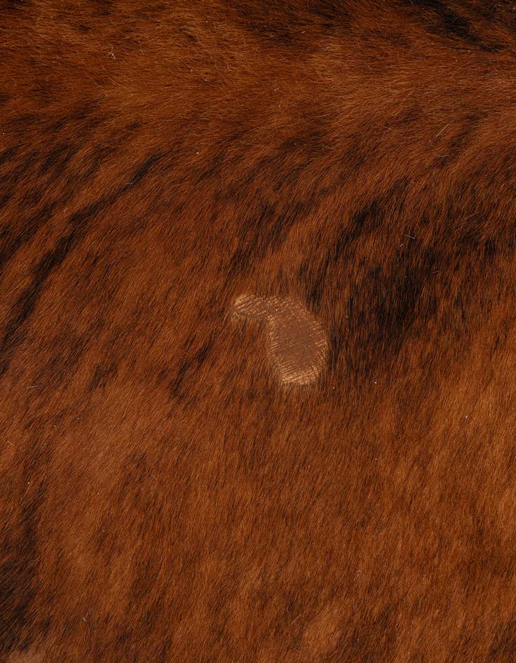 Detail image of 5' 3 x 5' 8 Cowhide Leather Square Rug