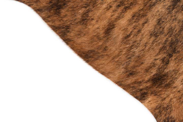 4' 10 x 5' 3 Cowhide Leather Square Rug