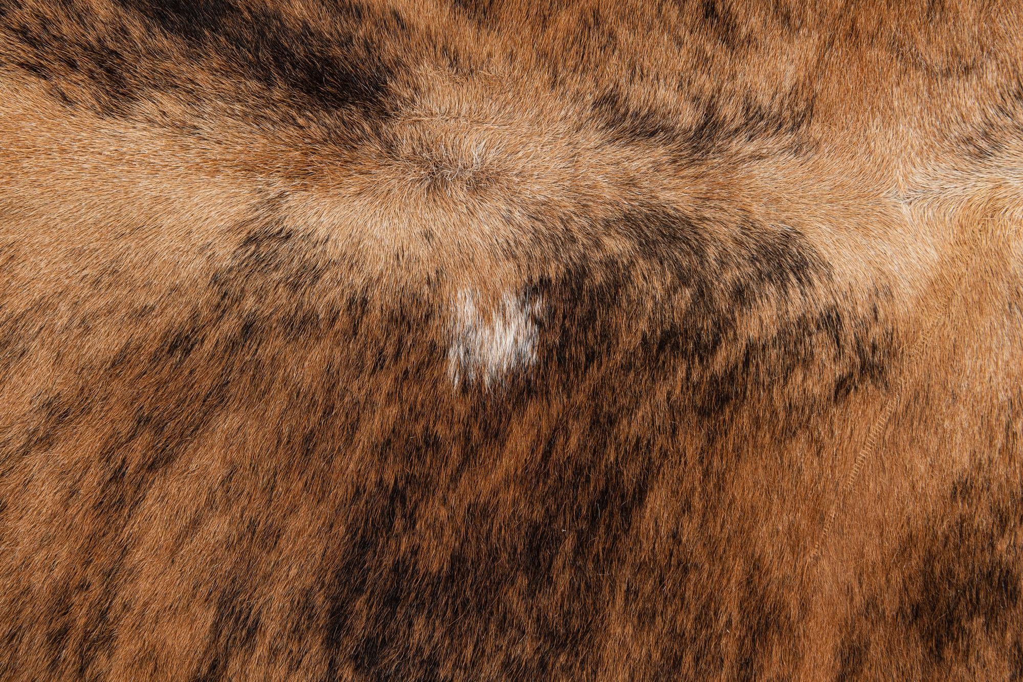 4' 10 x 5' 3 Cowhide Leather Square Rug
