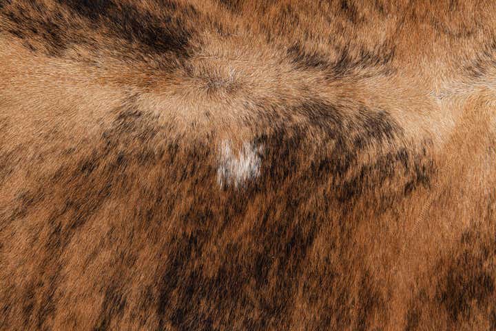 4' 10 x 5' 3 Cowhide Leather Square Rug