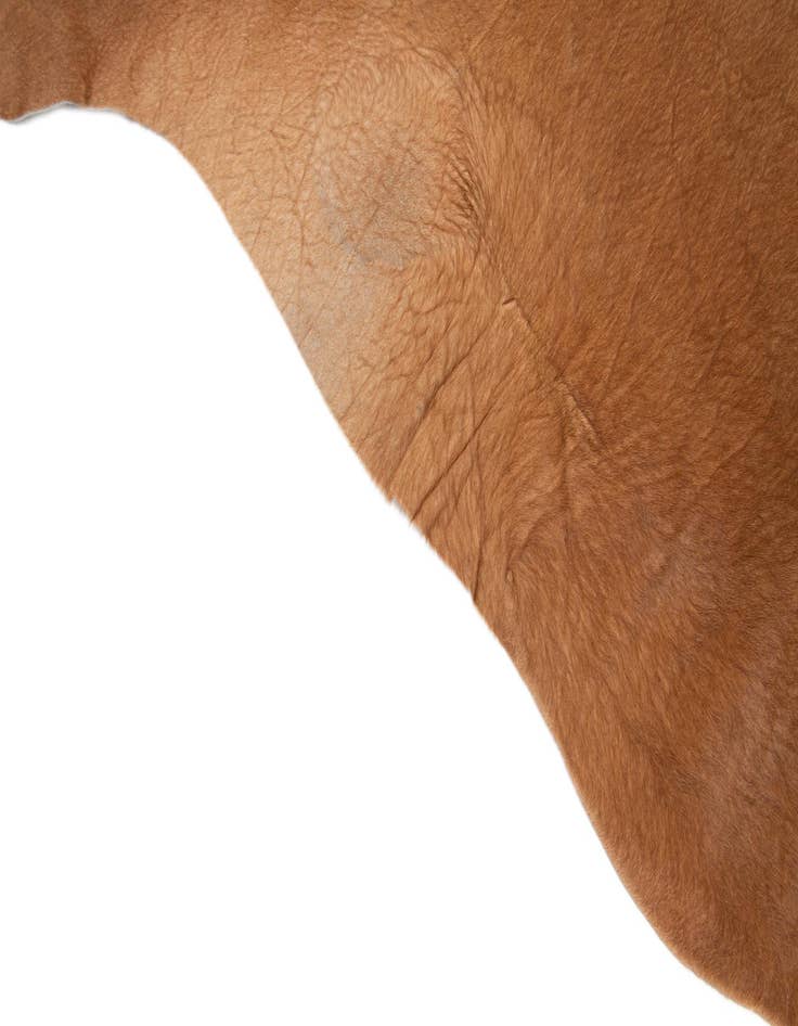 Detail image of 6' 5 x 6' 8 Cowhide Leather Square Rug