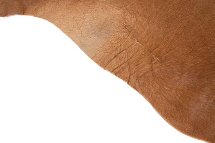 6' 5 x 6' 8 Cowhide Leather Square Rug