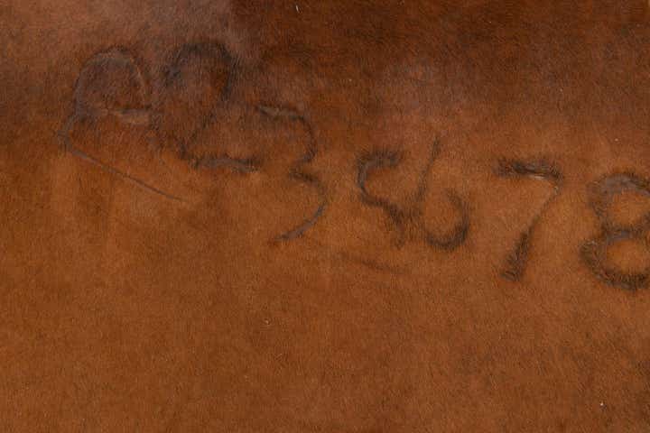 5' 2 x 5' 3 Cowhide Leather Square Rug