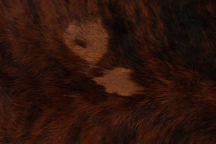 Detail image of 6' 7 x 7' 2 Cowhide Leather Square Rug