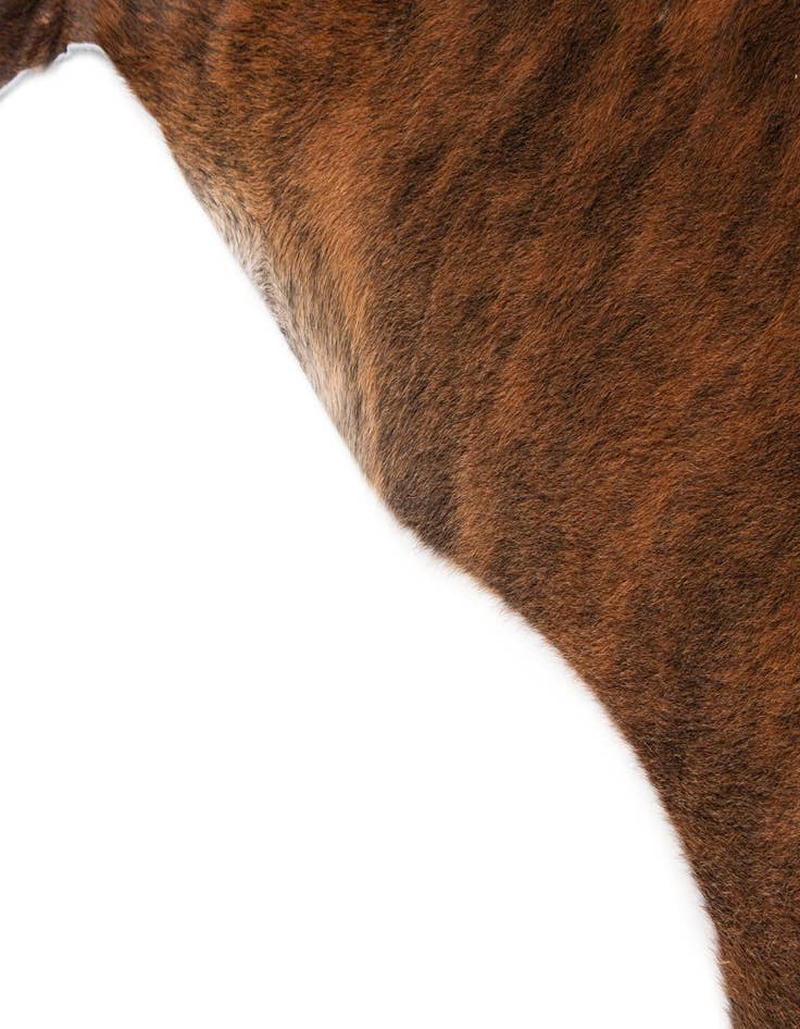 Detail image of 5' 8 x 6' 2 Cowhide Leather Square Rug