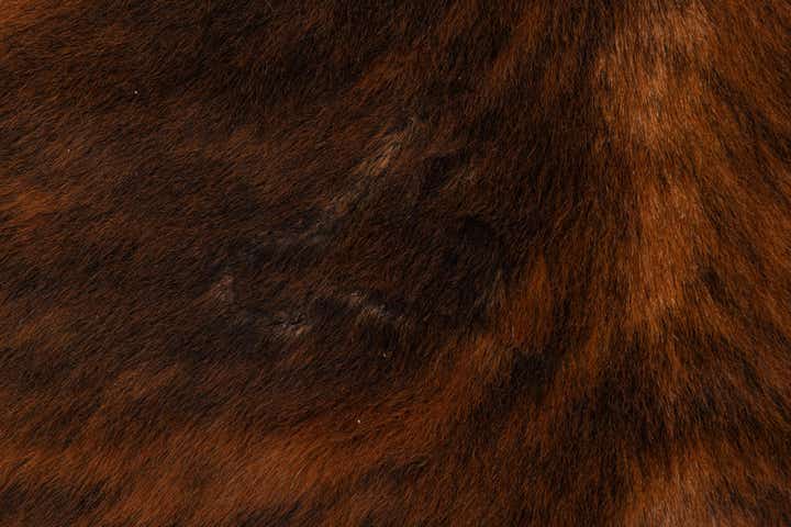 5' 8 x 6' 2 Cowhide Leather Square Rug