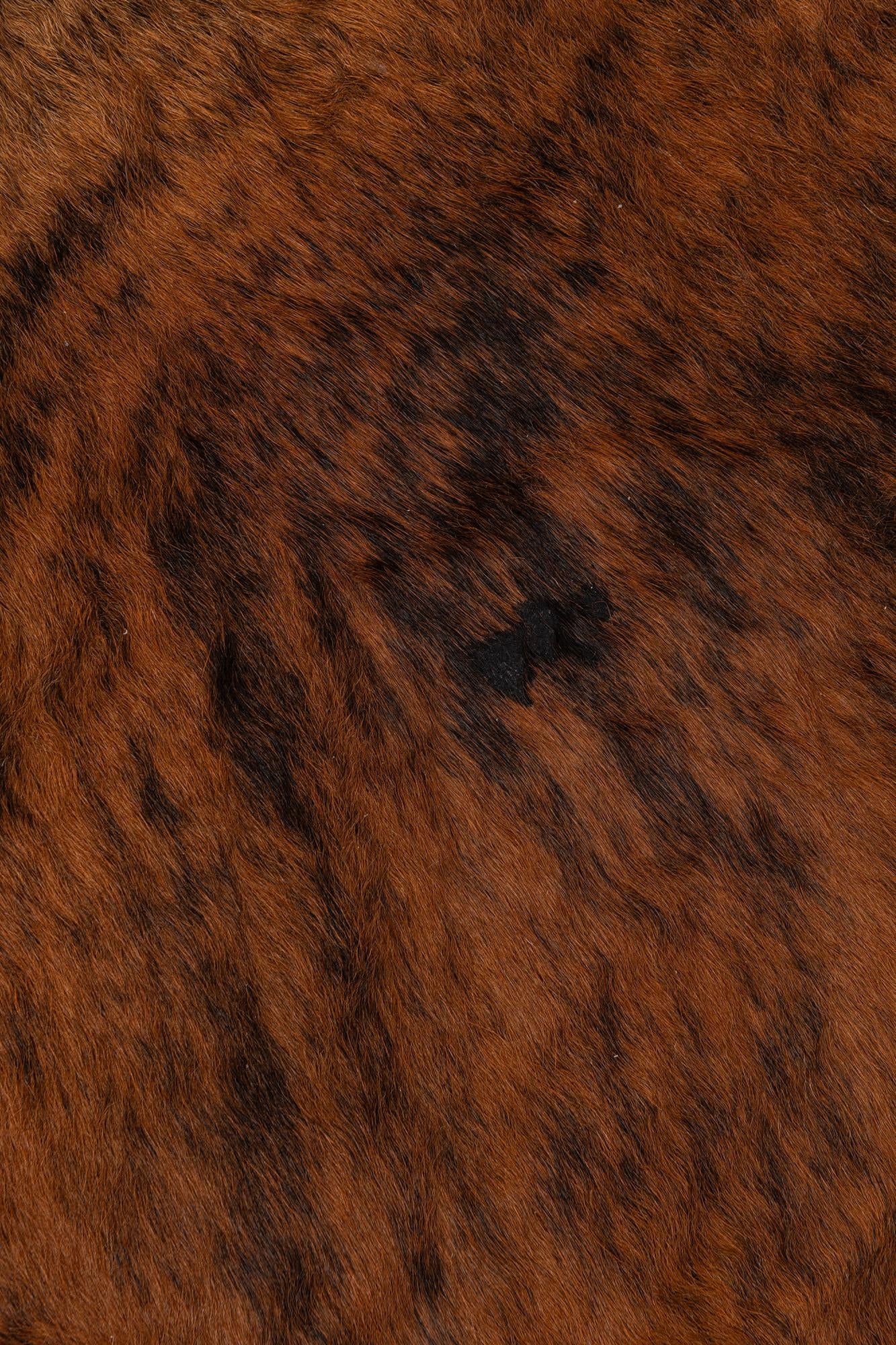 6' 1 x 6' 3 Cowhide Leather Square Rug