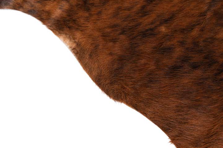 5' 8 x 5' 10 Cowhide Leather Square Rug