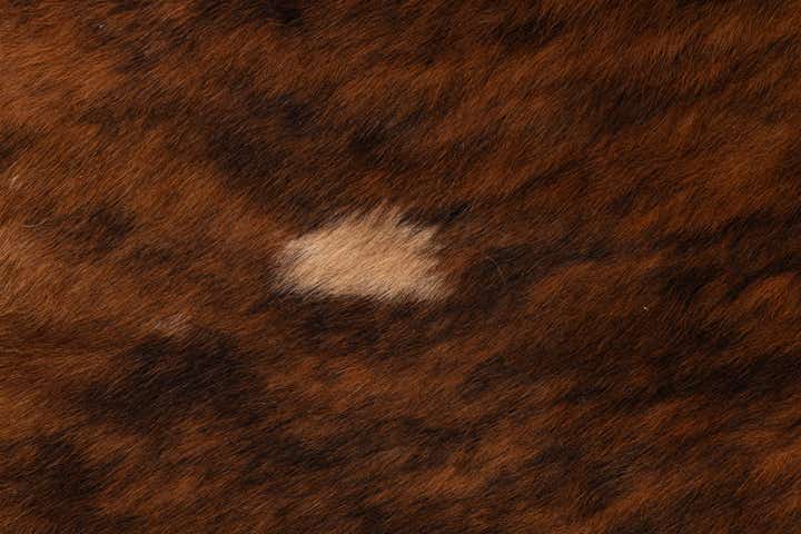 5' 8 x 5' 10 Cowhide Leather Square Rug