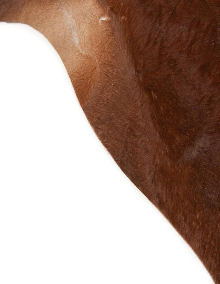 Detail image of 7' x 7' 5 Cowhide Leather Square Rug