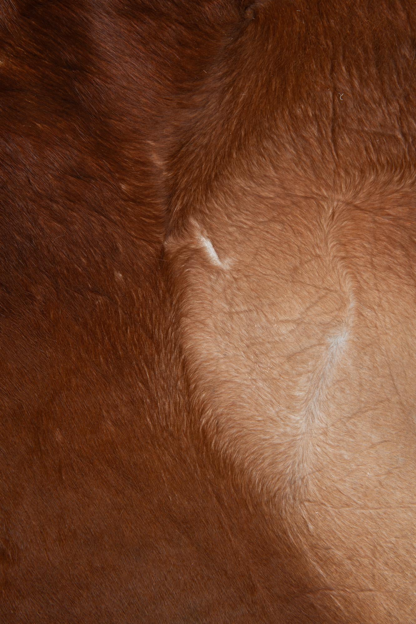 7' x 7' 5 Cowhide Leather Square Rug