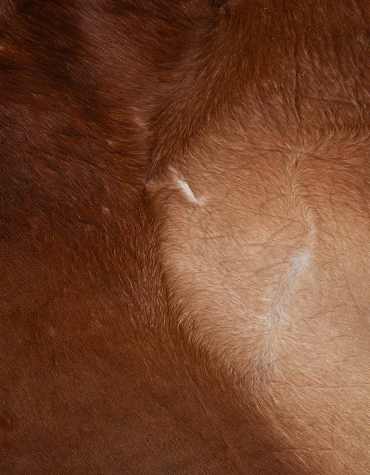 Detail image of 7' x 7' 5 Cowhide Leather Square Rug