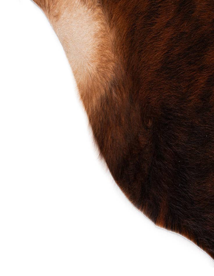 Detail image of 6' 3 x 6' 3 Cowhide Leather Square Rug