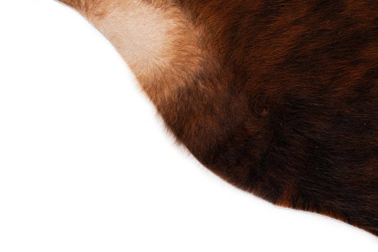 Detail image of 6' 3 x 6' 3 Cowhide Leather Square Rug