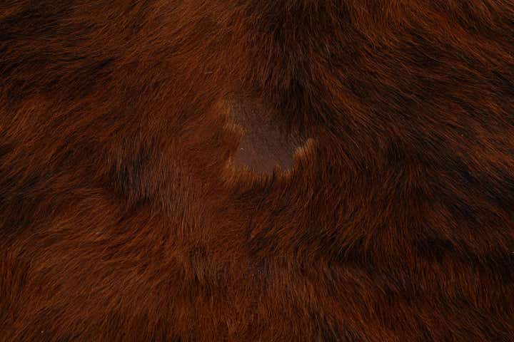 6' 3 x 6' 3 Cowhide Leather Square Rug